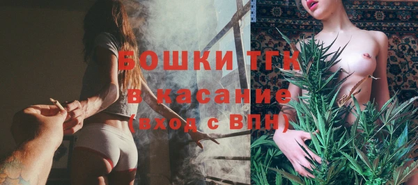 сатива Богородск
