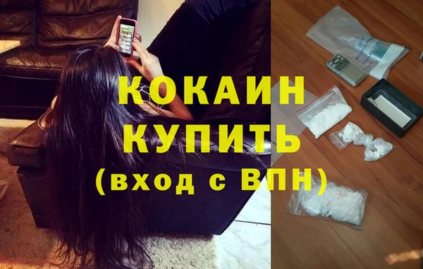 сатива Богородск
