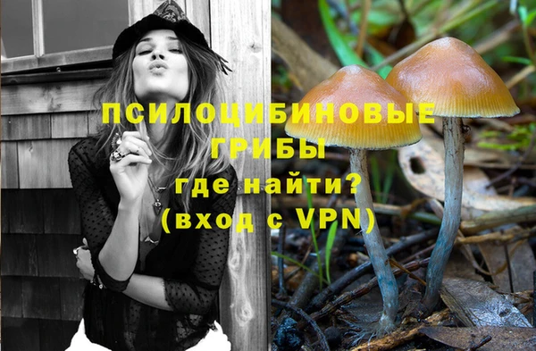 трава Богородицк