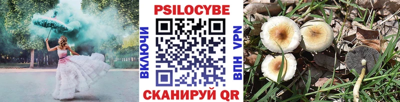 Галлюциногенные грибы мицелий Купить закладки Струнино